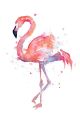 Schilderij flamingo - Artello