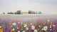 Schilderij italiaans landschap bloemenveld - Artello