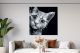 Schilderij kat zwart wit - Artello