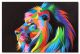 Schilderij leeuw kleurrijk - Artello
