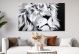 Schilderij leeuw zwart wit - Artello