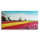 Schilderij Nederlandse molens en tulpen - Artello