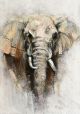 Schilderij olifant portret - Artello