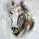 Schilderij paard portret - Artello
