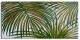 Schilderij palmbladeren - Artello