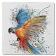 Schilderij papegaai 75 x 75 - Artello