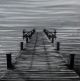Schilderij the Lake 80 x 80 - Artello