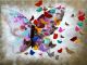 Schilderij vlinders - Artello