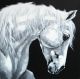 Schilderij wit paard - Artello
