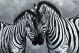 Schilderij zebra grijstinten - Artello