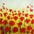 Schilderij rode bloemen - Artello