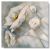 Schilderij bloemen wit 75 x 75 Artello