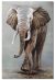 Schilderij metaal olifant 80 x 120 - Artello