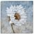 Schilderij witte bloem 75 x75 - Artello