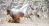 Schilderij witte paarden aluminium 120 x 60 Artello
