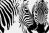 Schilderij zebra zwart wit - Artello
